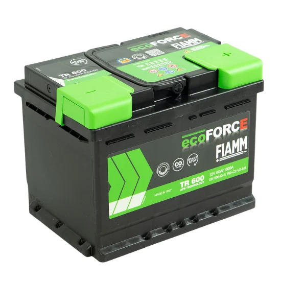 Fiamm Ecoforce Dual purpose EFB accu 12V 60Ah(20hrs) 600 AMP CCA EN